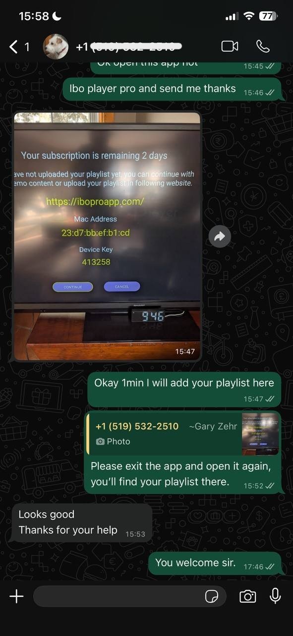 layereven iptv